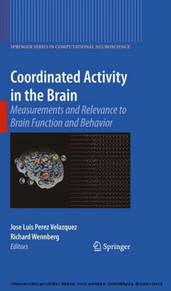 Coordinated Activity in the Brain