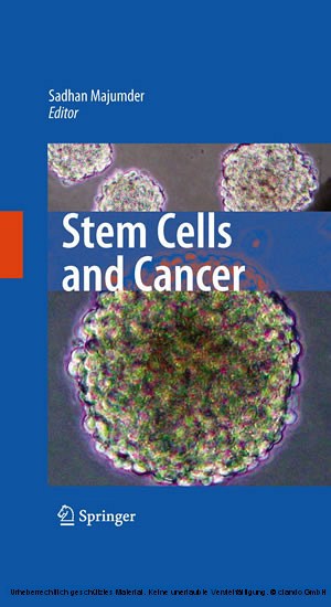Stem Cells and Cancer main product photo