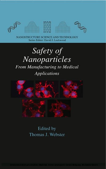 Safety of Nanoparticles main product photo