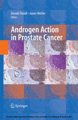 Androgen Action in Prostate Cancer