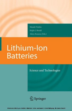 Lithium-Ion Batteries