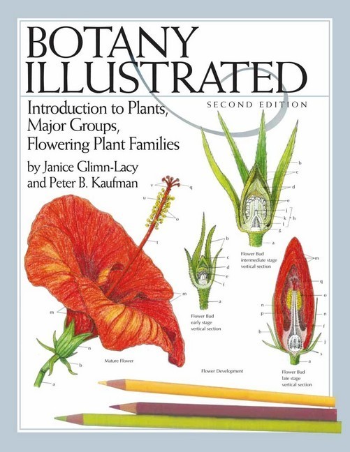Botany Illustrated main product photo