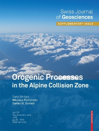 Orogenic Processes in the Alpine Collision Zone