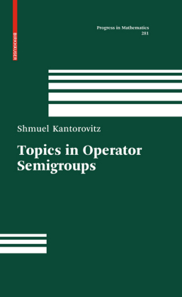 Topics in Operator Semigroups