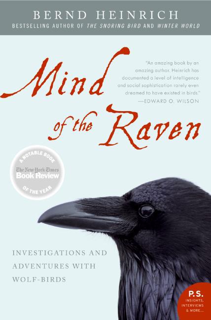 Mind of the Raven main product photo
