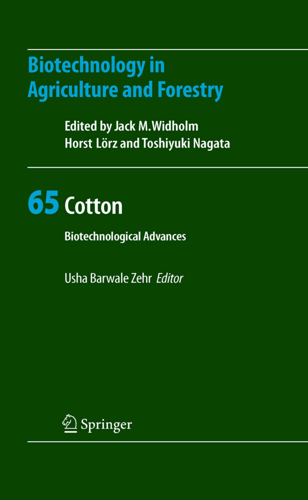Cotton main product photo