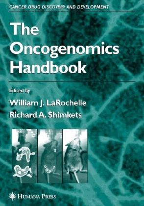 The Oncogenomics Handbook