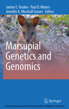 Marsupial Genetics and Genomics