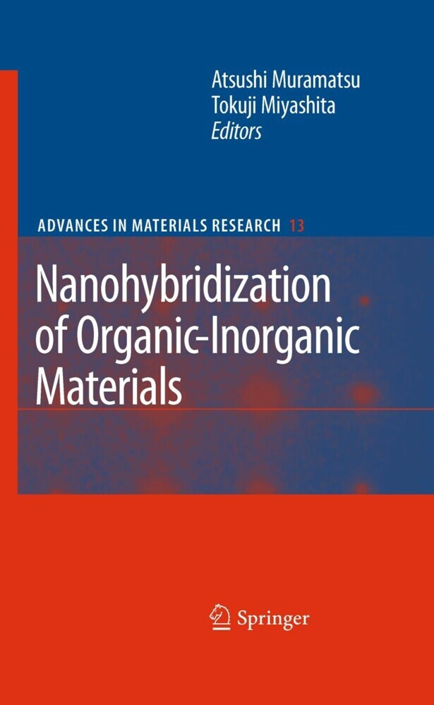 Nanohybridization of Organic-Inorganic Materials main product photo