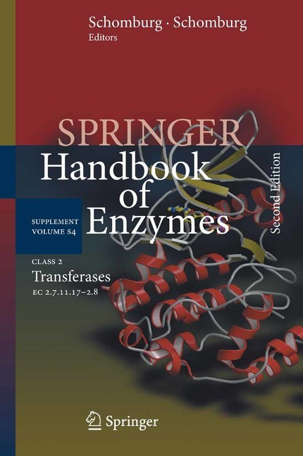 Class 2 Transferases main product photo
