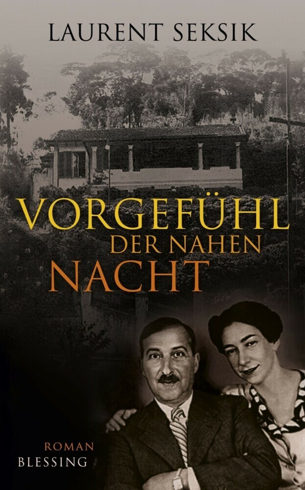 Vorgefühl der nahen Nacht main product photo