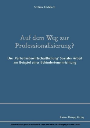 Auf dem Weg zur Professionalisierung?