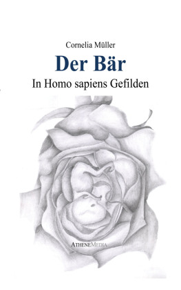 Der Bär