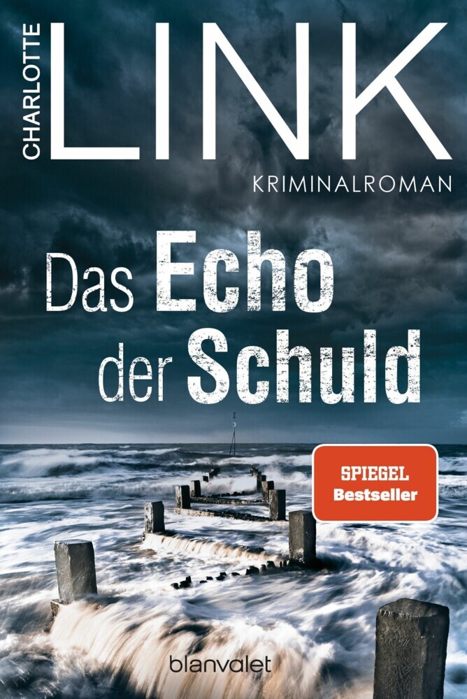 Das Echo der Schuld main product photo