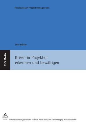 Krisen in Projekten erkennen und bewältigen