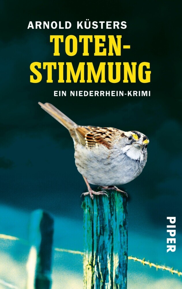 Totenstimmung main product photo