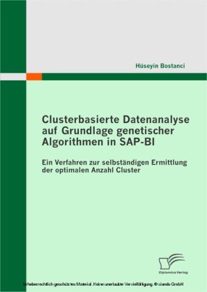 Clusterbasierte Datenanalyse auf Grundlage genetischer Algorithmen in SAP-BI - Ein Verfahren zur selbständigen Ermittlung der optimalen Anzahl Cluster