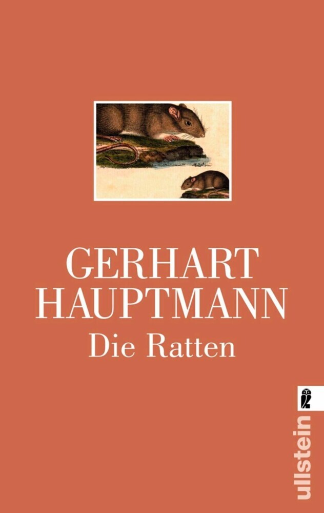 Die Ratten main product photo