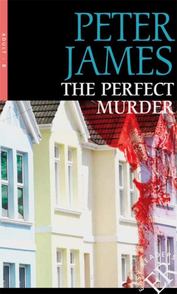 The Perfect Murder main product photo