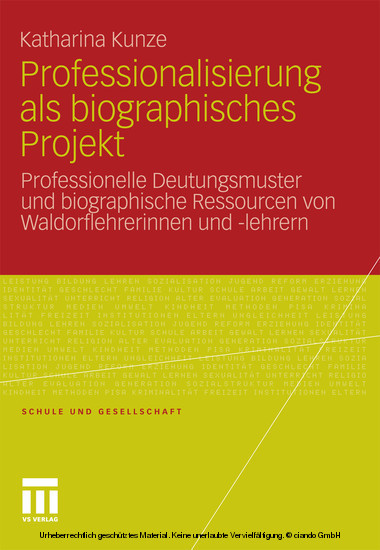 Professionalisierung als biographisches Projekt main product photo