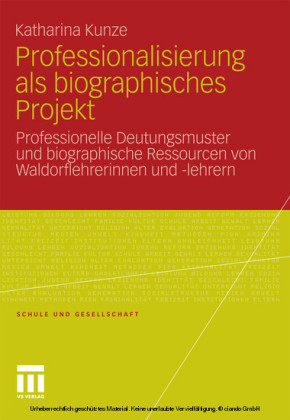 Professionalisierung als biographisches Projekt