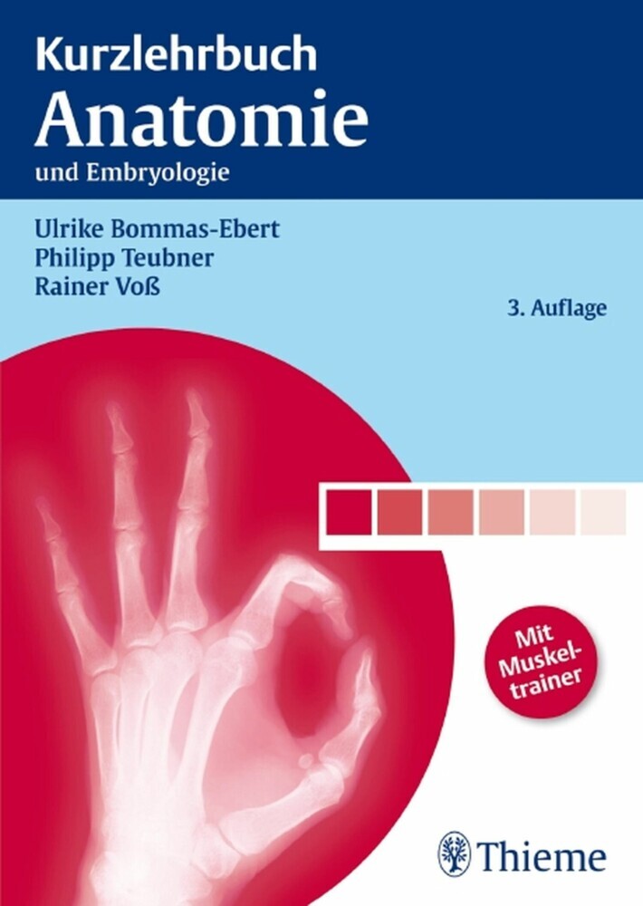 Kurzlehrbuch Anatomie main product photo
