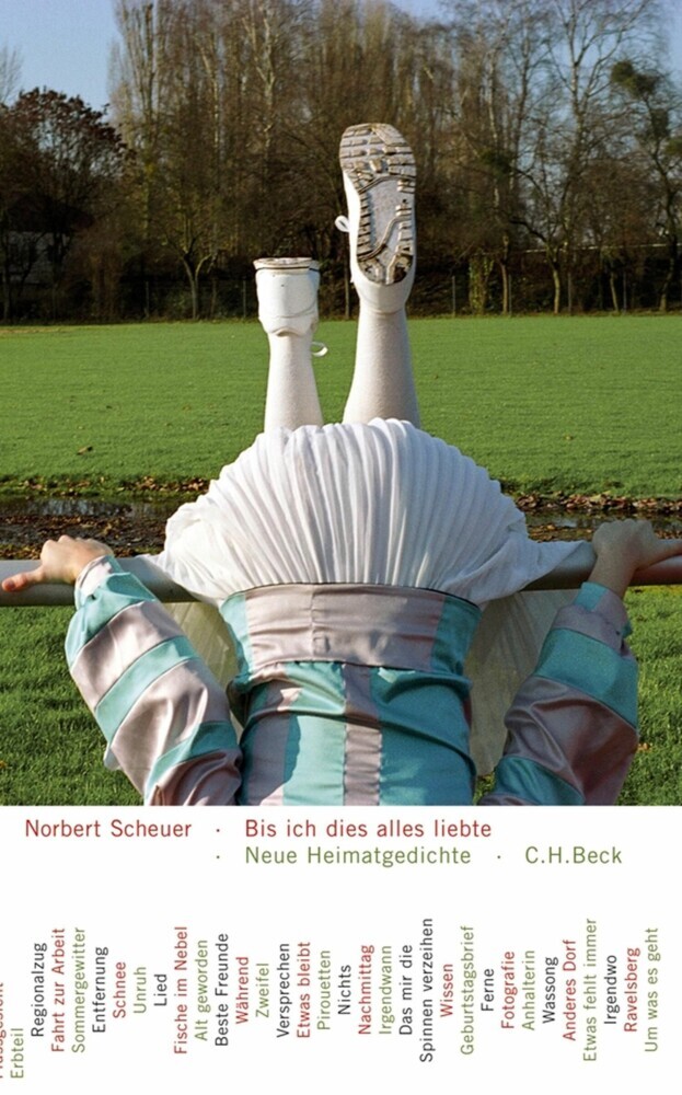 Bis ich dies alles liebte main product photo