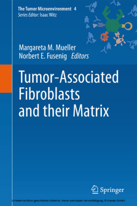 Tumor-Associated Fibroblasts and their Matrix