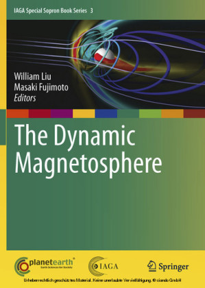 The Dynamic Magnetosphere