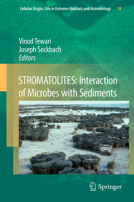 STROMATOLITES: Interaction of Microbes with Sediments main product photo