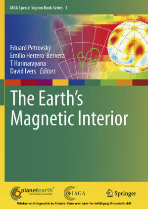 The Earth's Magnetic Interior