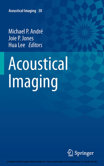 Acoustical Imaging main product photo