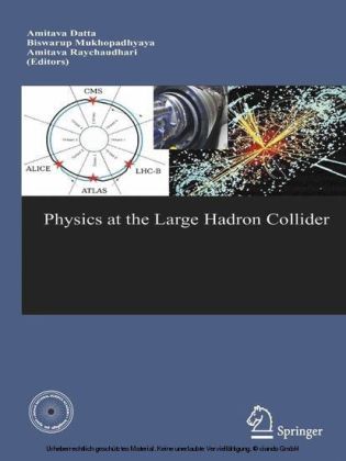 Physics at the Large Hadron Collider