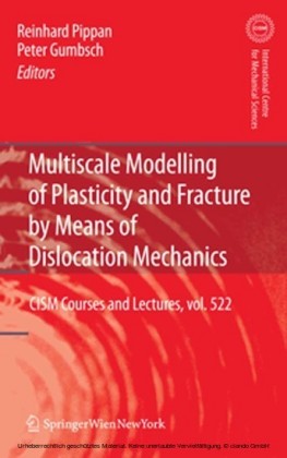 Multiscale Modelling of Plasticity and Fracture by Means of Dislocation Mechanics