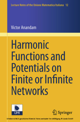 Harmonic Functions and Potentials on Finite or Infinite Networks