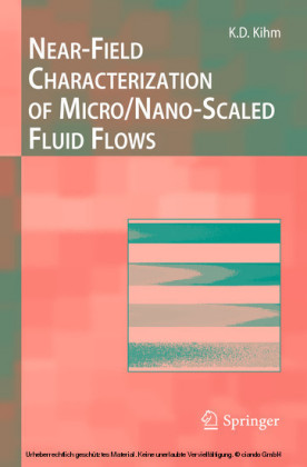 Near-Field Characterization of Micro/Nano-Scaled Fluid Flows