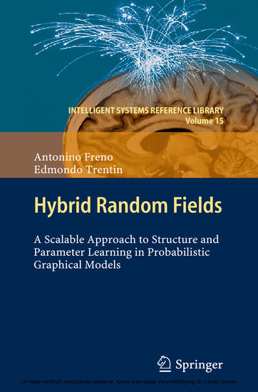 Hybrid Random Fields main product photo