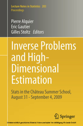 Inverse Problems and High-Dimensional Estimation