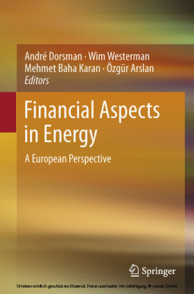 Financial Aspects in Energy