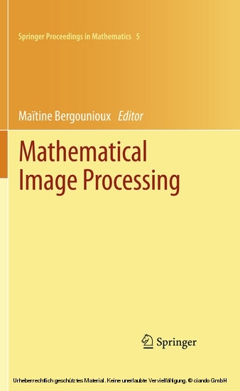 Mathematical Image Processing main product photo