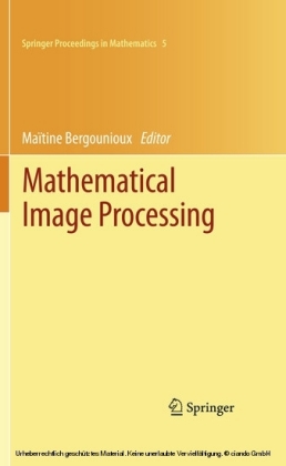 Mathematical Image Processing