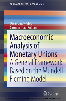 Macroeconomic Analysis of Monetary Unions