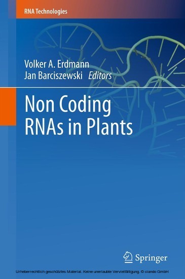 Non Coding RNAs in Plants main product photo