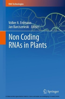 Non Coding RNAs in Plants
