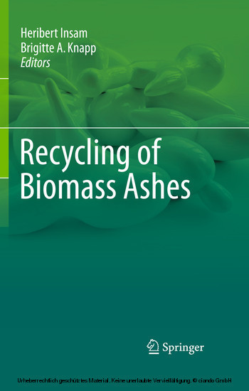 Recycling of Biomass Ashes main product photo