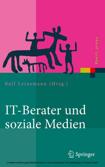 IT-Berater und soziale Medien main product photo