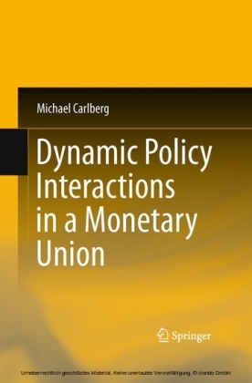 Dynamic Policy Interactions in a Monetary Union