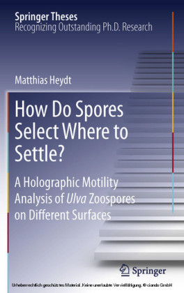 How Do Spores Select Where to Settle?