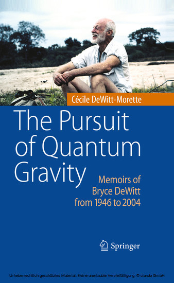 The Pursuit of Quantum Gravity main product photo