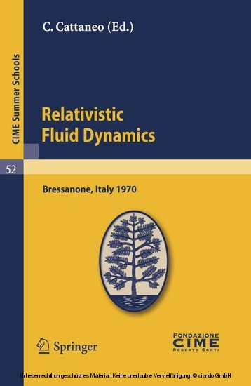 Relativistic Fluid Dynamics main product photo